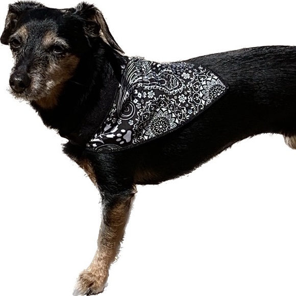 Meet your Poshers, Tracey and BeanieDoodle - Picture 7 of 15